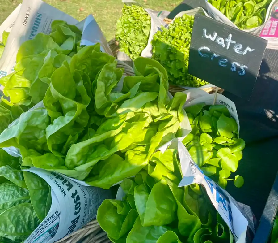 Market scene 2